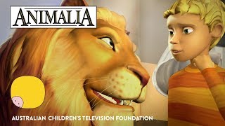 Animalia  Series Trailer [upl. by Stultz694]