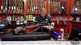 BSA R10 Special  Air Rifle Review [upl. by Nyrraf503]