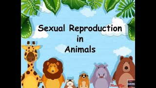 Sexual Reproduction in Animals [upl. by Chrystel632]