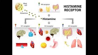 Managing histamine intolerance [upl. by Nylyaj750]