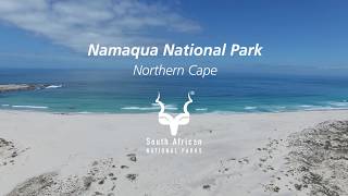 Namaqua National Park where to coast meets the greatest flower show on earth [upl. by Ailekahs]