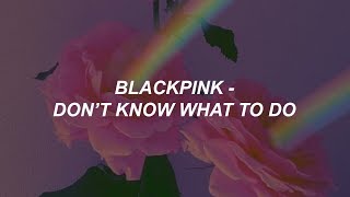 BLACKPINK  Dont Know What To Do Easy Lyrics [upl. by Aires]