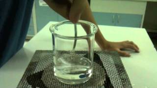 Magnesium Reaction with Sulphuric acid [upl. by Yentyrb]