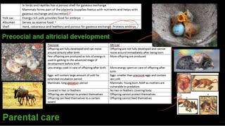 Grade 12 Life Sciences Reproduction in vertebrates [upl. by Adnahsal]