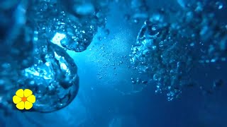 Underwater REAL Bubble Sounds  Water Bubbles  Underwater Sounds Ambience Relax White Noise 5 HOURS [upl. by Lalla112]