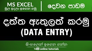 Microsoft Excel Beginner Course Sinhala Part 02  Data Entry [upl. by Norraf21]