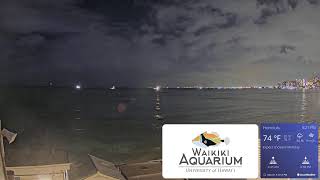 Waikiki Aquarium South Shore Surf Cam [upl. by Adnohsel139]