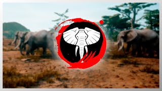 Animalia Survival  Elephant [upl. by Assilram]