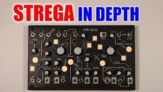 The Make Noise Strega in Depth [upl. by Aiuoqes]