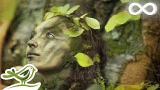 Dance of Life Relaxing Celtic Music for Meditation amp Sleep by Peder B Helland [upl. by Drarig235]