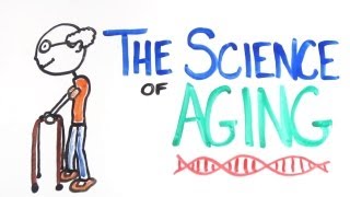 The Science of Aging [upl. by Libre389]