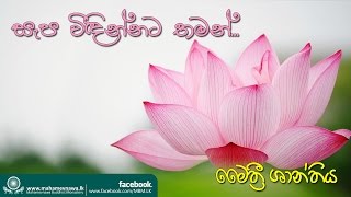 මෛත්‍රී ශාන්තිය  Ven Kiribathgoda Gnanananda Thero [upl. by Yretsym56]