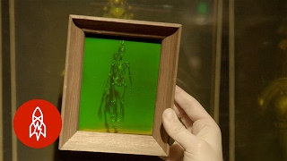 The LaserBased Science Behind 3D Holograms [upl. by Alvan]