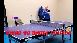 Table Tennis Basics  Introduction to Short Pimple Rubber [upl. by Nahtonoj]