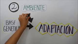 Sobre el Concepto de Adaptación [upl. by Eikciv]