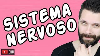 SISTEMA NERVOSO  FISIOLOGIA  Aula  Biologia com Samuel Cunha [upl. by Llednahs]