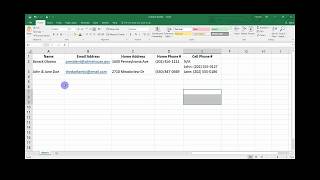 Excel Contacts List Tutorial [upl. by Aynor]