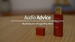 AudioQuest DragonFly Red USB DAC Review [upl. by Sumedocin636]