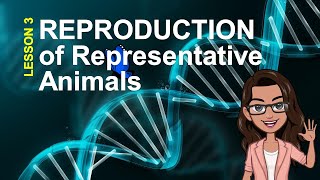 Earth and Life Science Quarter 2 ANIMAL REPRODUCTION [upl. by Goulder]