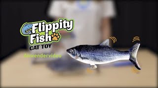 Flippity Fish Anwendervideo [upl. by Scoter]