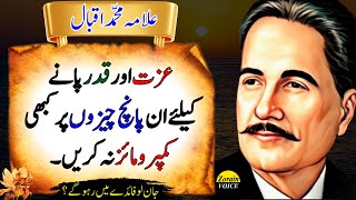 Five Powerful Ways to Earn Respect from Those Who Disrespect You  Deep Quotes  Allama Iqbal Quotes [upl. by Okramed]