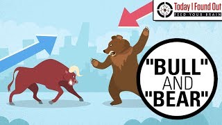 Why are Bull and Bear Markets Called That [upl. by Euqininod]