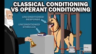 CLASSICAL VS OPERANT CONDITIONING [upl. by Euqinomahs]