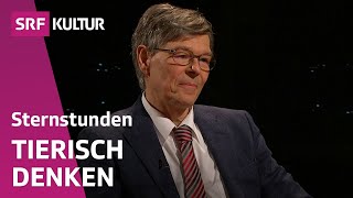 Den Geist der Tiere verstehen – aber wie  Sternstunde Philosophie  SRF Kultur [upl. by Magdalene]