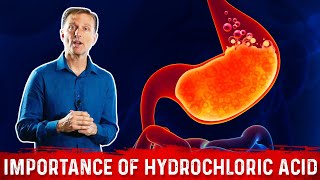 The Importance of Hydrochloric acid HCL in the Stomach – Dr Berg [upl. by Nadia949]