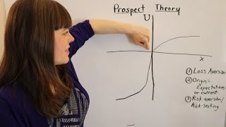 Prospect Theory An Overview [upl. by Ynatterb]