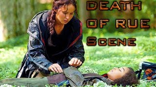 The Hunger Games  Death of Rue in HD [upl. by Nwahs44]