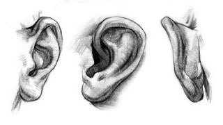 How Does the Ear Work [upl. by Ecirehs]