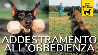 ADDESTRAMENTO ALLOBBEDIENZA trailer documentario cani e cinofilia [upl. by Aihpos670]