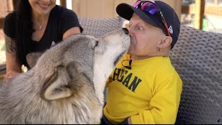 I KISSED A WOLF  Verne Troyer [upl. by Keare]