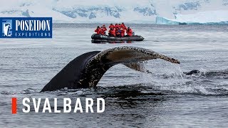 Svalbard in 1 minute  The ultimate Arctic getaway [upl. by Laks269]