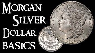 Morgan Silver Dollar Basics  Coin Collecting and Silver Stacking [upl. by Ahsuat654]