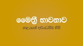 Maithree Bawanawa  Nauyane Ariyadhamma Thero [upl. by Allenotna]