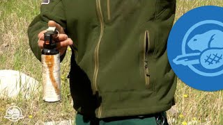 How to Use Bear Spray  Banff National Park [upl. by High]