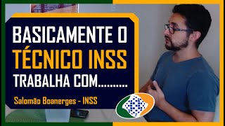 O que faz um Técnico de Seguro Social 06 Concurso INSS 2021 [upl. by Ellednahs]