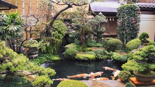 Japanese Gardens Around the World [upl. by Edak841]