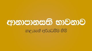 Anapanasati Bawanawa 01  Nauyane Ariyadhamma Thero [upl. by Hsreh]