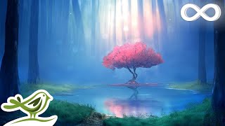 Deep Relaxing Music • Meditation Music Sleep Music Ambient Music [upl. by Tyson]