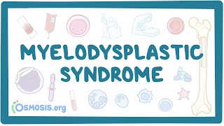 Myelodysplastic syndromes  causes symptoms diagnosis treatment pathology [upl. by Ajiam]