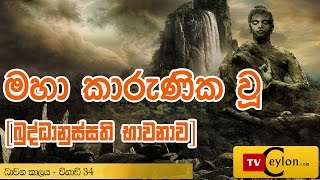 Maha Karunika Wu Shanthi Nayakayan Wahansa  Buddhanussati Bhavanawa Sinhala [upl. by Dorthy95]