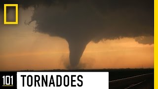 Tornadoes 101  National Geographic [upl. by Naesyar706]