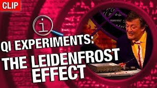 QI  The Leidenfrost Effect [upl. by Tnahsarp]