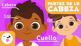 Las partes del cuerpo  La cabeza  Vocabulario para niños [upl. by Lishe145]