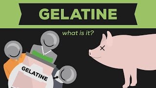 What is Gelatine Gelatin  Jello [upl. by Chien626]