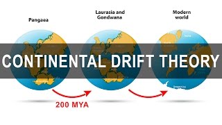 Continental Drift Theory  Alfred Wegener  Pangea  Gondwanaland [upl. by Mirelle712]