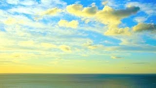 Relaxing Instrumental Music soft amp calm background music  relaxdaily N°080 [upl. by Nageam424]